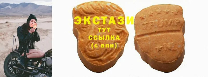 Ecstasy TESLA  MEGA ТОР  Дмитриев 