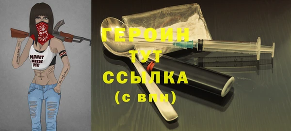 индика Апатиты